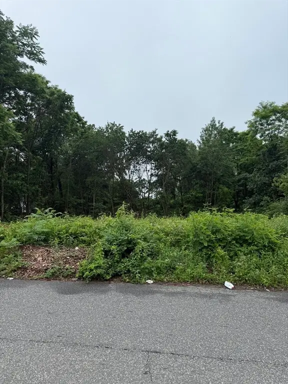 W S Arnold Ave, Springfield, MA 01119 - Image #3