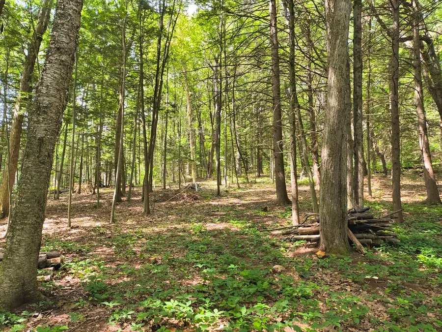 0 Round Hill Road, Chester, MA 01011 - Image #3