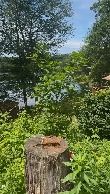 17 Shore Dr, Spencer, MA 01562 - Image #1