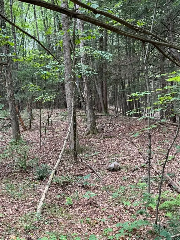 0 North Street, Whately, MA 01093 - Image #2