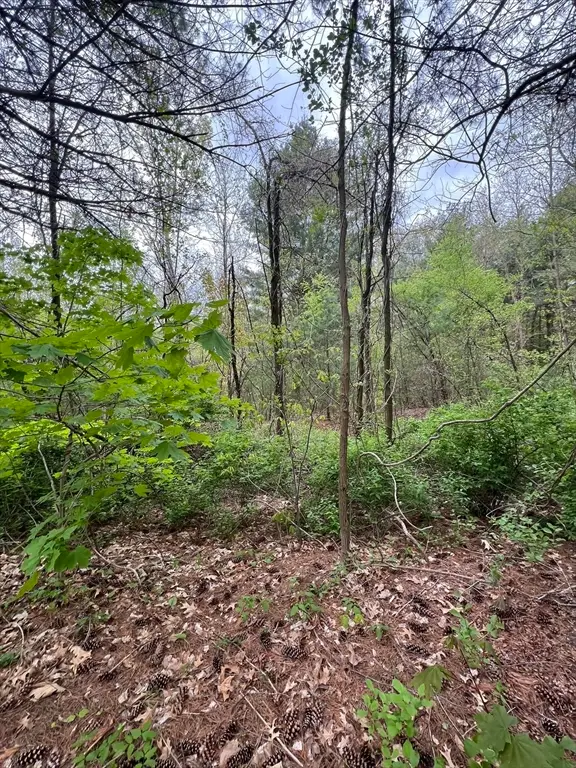 Lots 39-42 Lawrence, Palmer, MA 01069 - Image #3