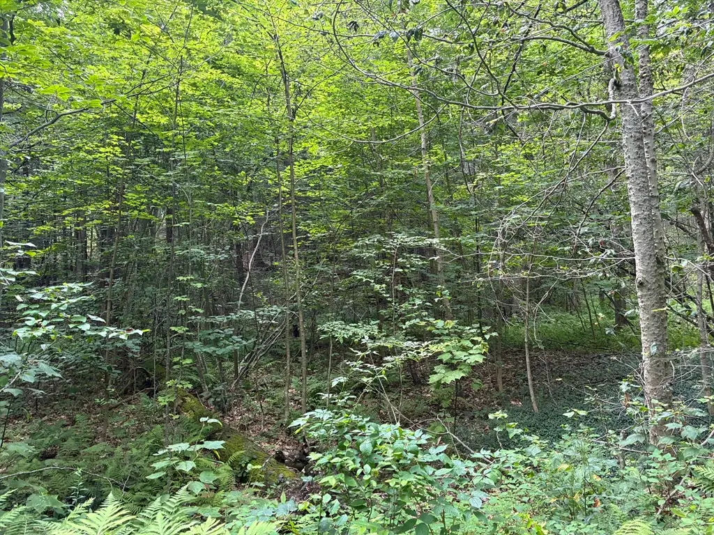 139 Taylor Brook Rd, Heath, MA 01346 - Image #1