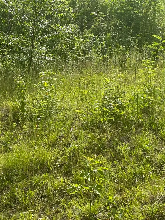 33 Walsh Ave, Auburn, MA 01501 - #3