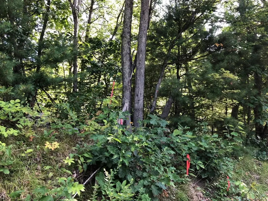 Lot B-2 North Gulf Rd, Belchertown, MA 01007 - Image #2