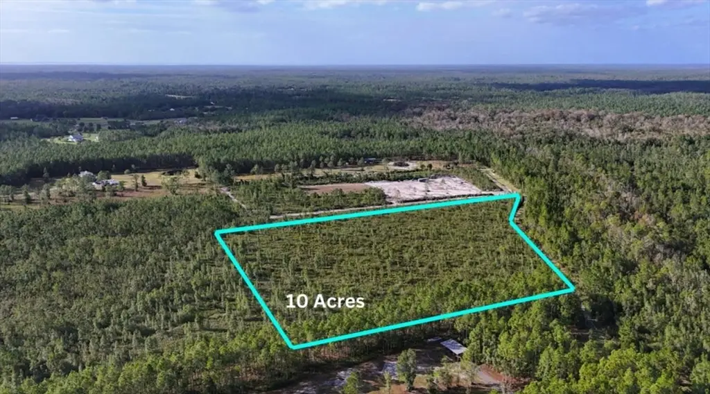 3 Chesser Hammock, Pierson, FL 32180 - Image #1