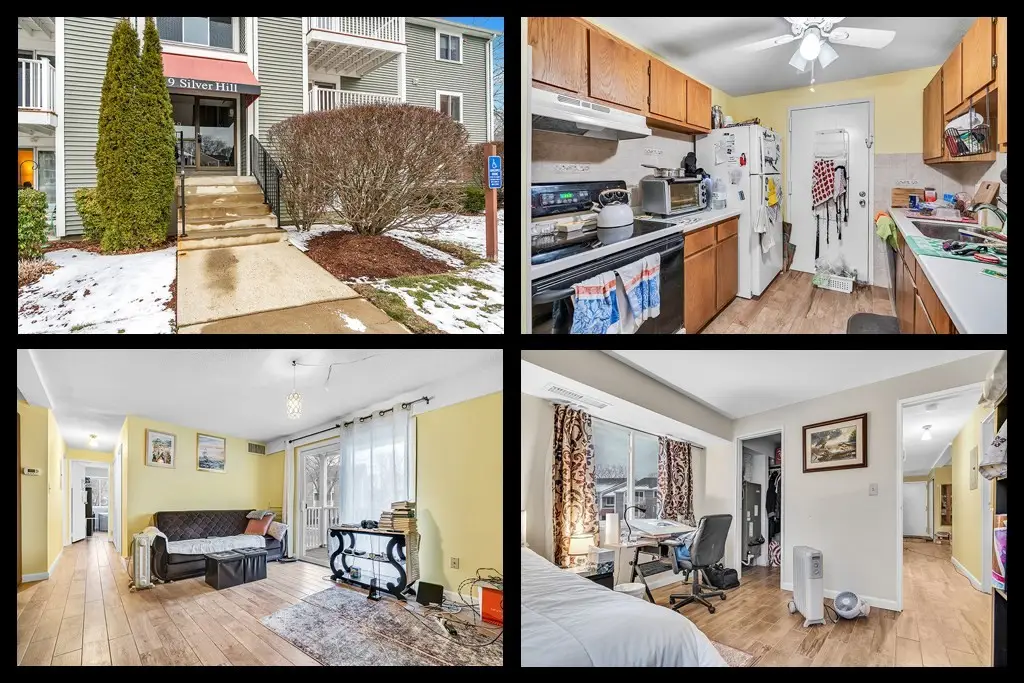 9 Silver Hill Ln #19, Natick, MA 01760 - Image #1