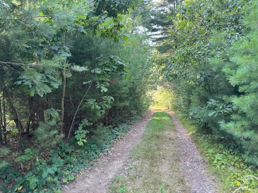 1222 South St, Wrentham, MA 02093 - Image #3