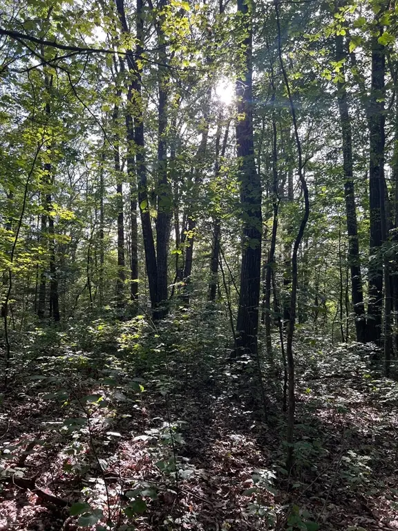 Lot 8 Southbridge Rd, Warren, MA 01083 - Image #3