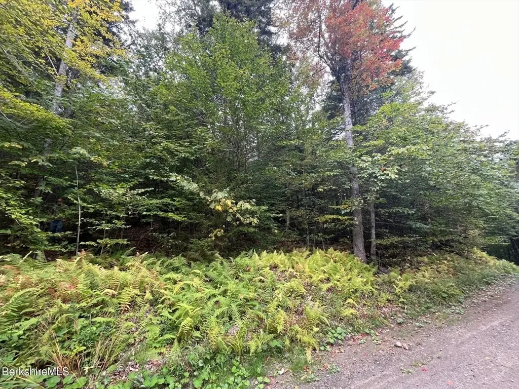 0 Manley Phelps Road, Monroe, MA 01350 - Image #1