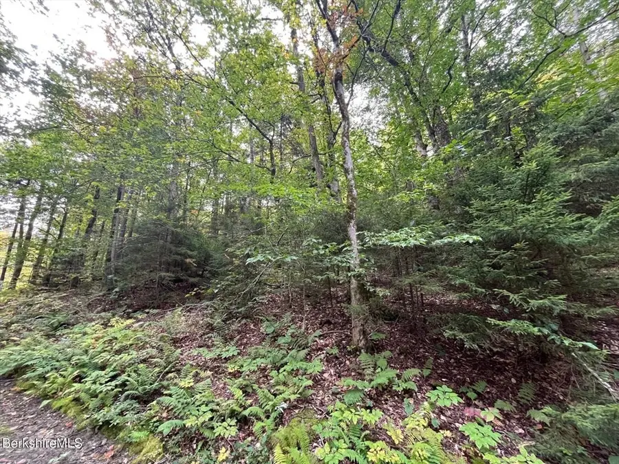0 Manley Phelps Road, Monroe, MA 01350 - Image #3