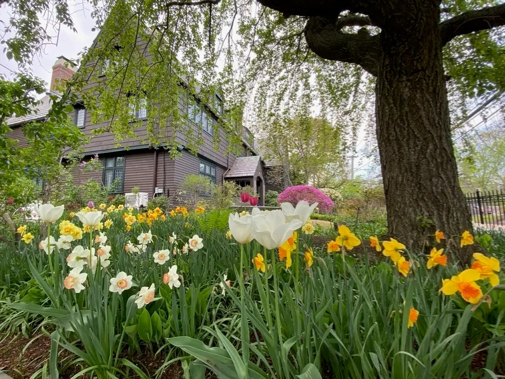 84 Garden St, Cambridge, MA 02138 - Image #1