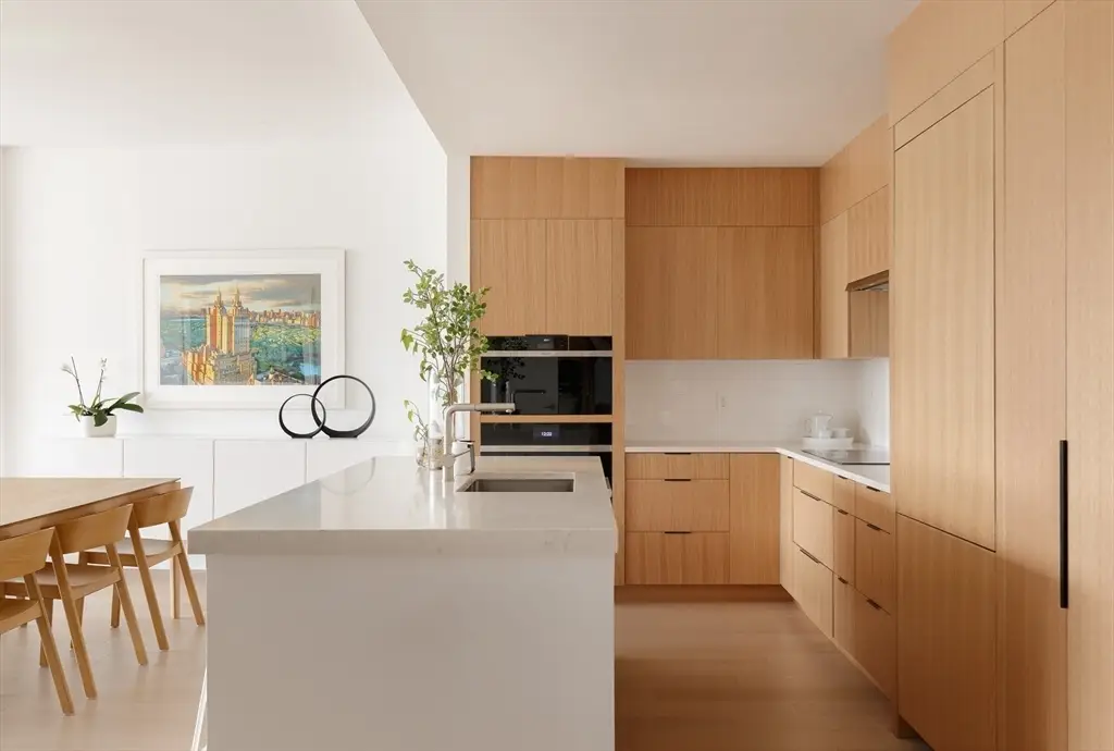 303 Columbus Ave #501, Boston, MA 02116 - Image #1