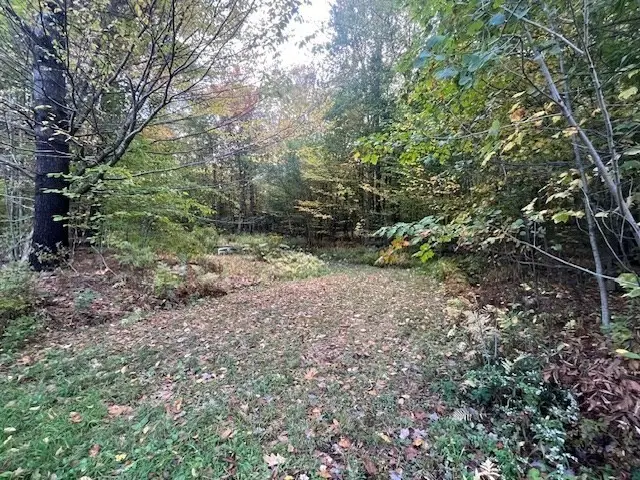 0 Stryker Road, Florida, MA 01247 - Image #1