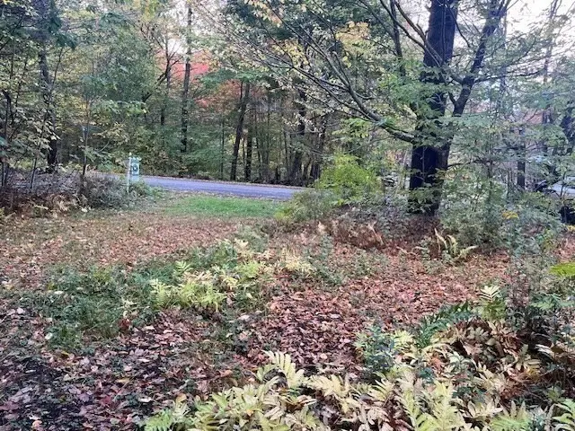 0 Stryker Road, Florida, MA 01247 - Image #2