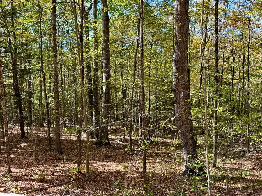 0 Potters Road Extension, Charlemont, MA 01339 - Image #2