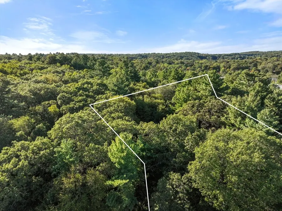 41 Orchard Avenue, Weston, MA 02493 - Image #2