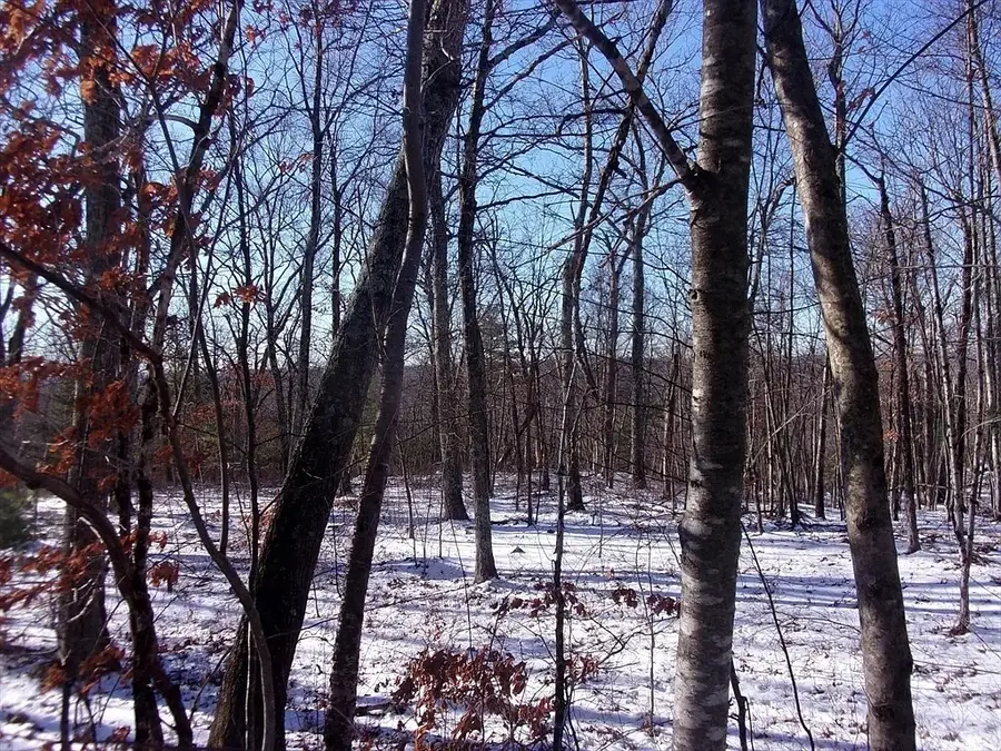 90 Chestnut Hill Road, Millville, MA 01529 - Image #3