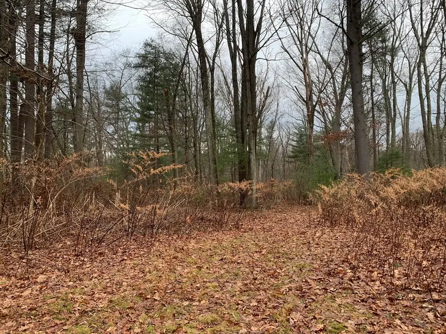 767 Stony Hill Rd, Wilbraham, MA 01095 - Image #2