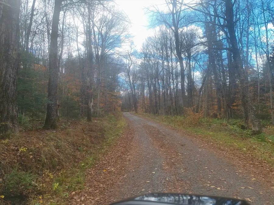 lot 19 Pierce Road, Peru, MA 01235 - Image #3