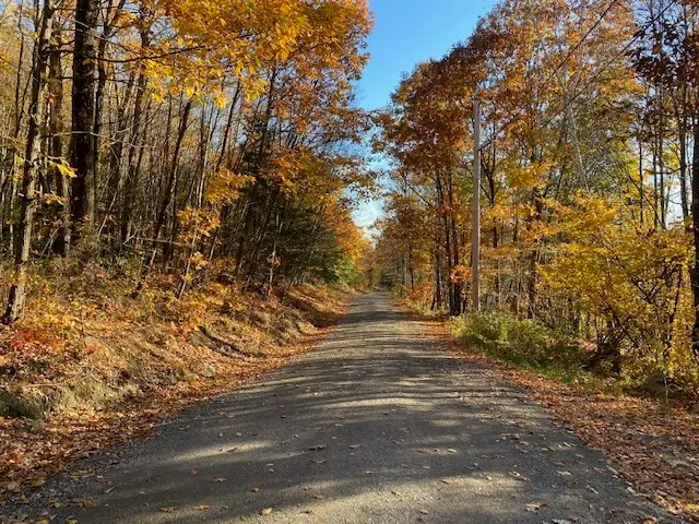 539 Fox Hill Road, Bernardston, MA 01337 - #3