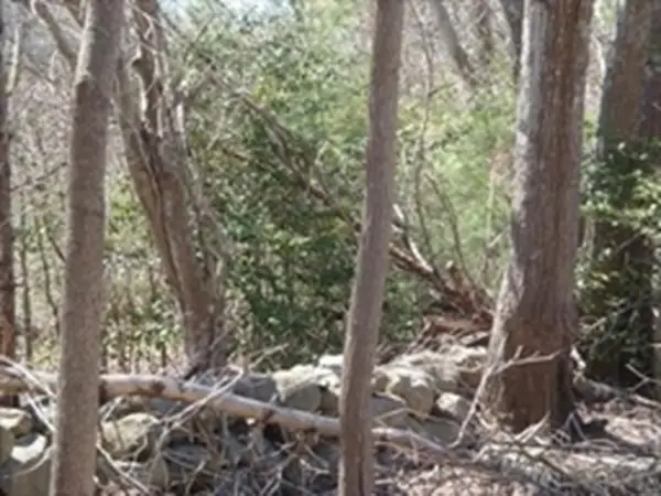 425 A Wareham Street, Middleboro, MA 02346 - Image #3