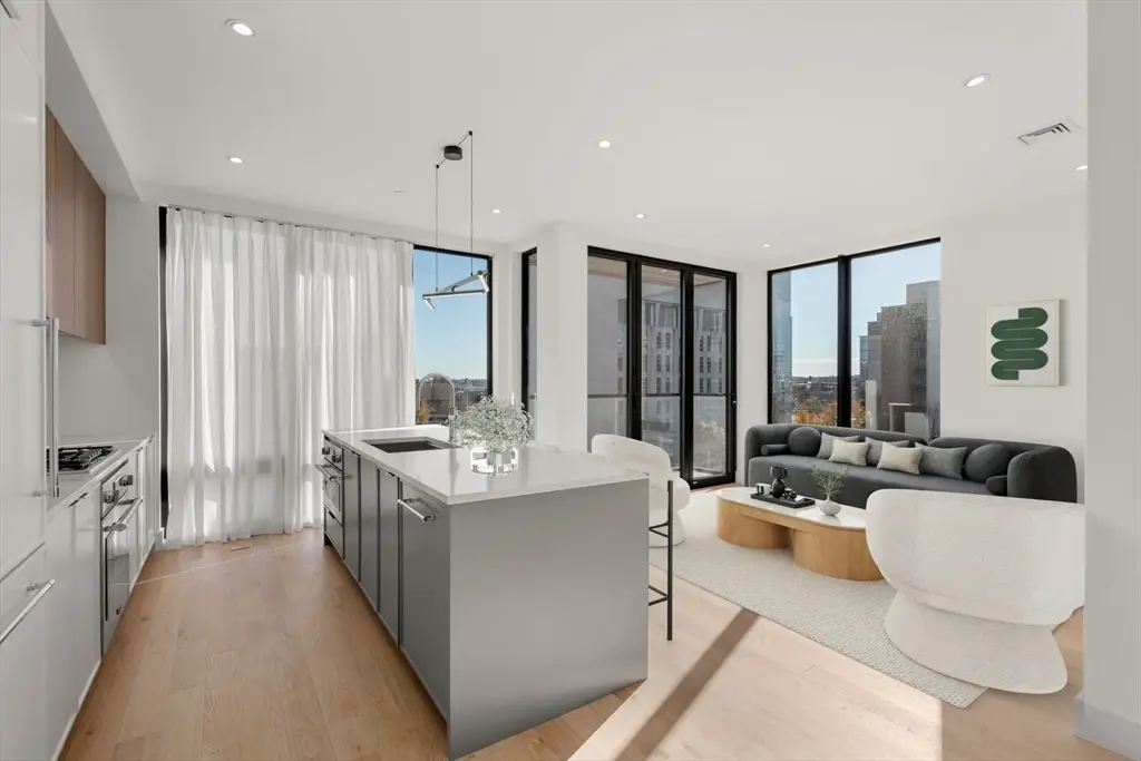 595 Albany St #2-01, Boston, MA 02118 - Image #1