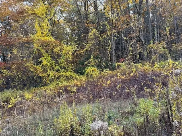 151 Wilker Road, Ashburnham, MA 01430 - Image #3