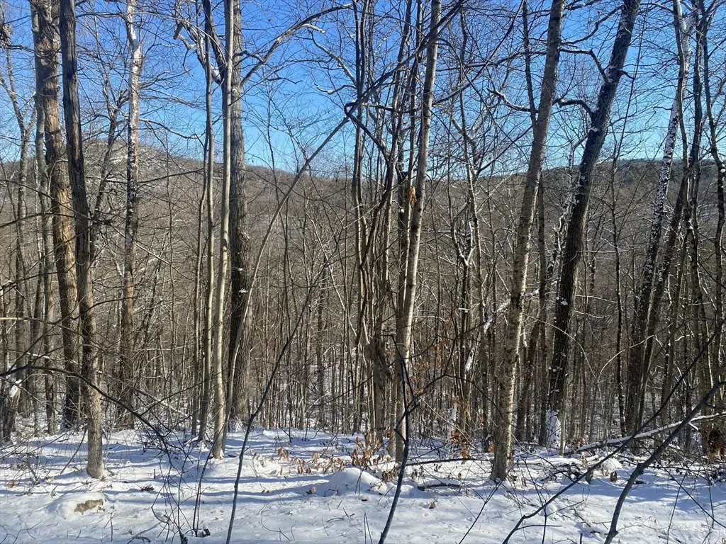 593 Old Warren Road, Palmer, MA 01069 - Image #1