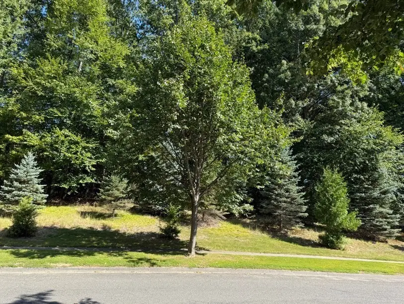 25 Pembroke Ter, East Longmeadow, MA 01028 - Image #1