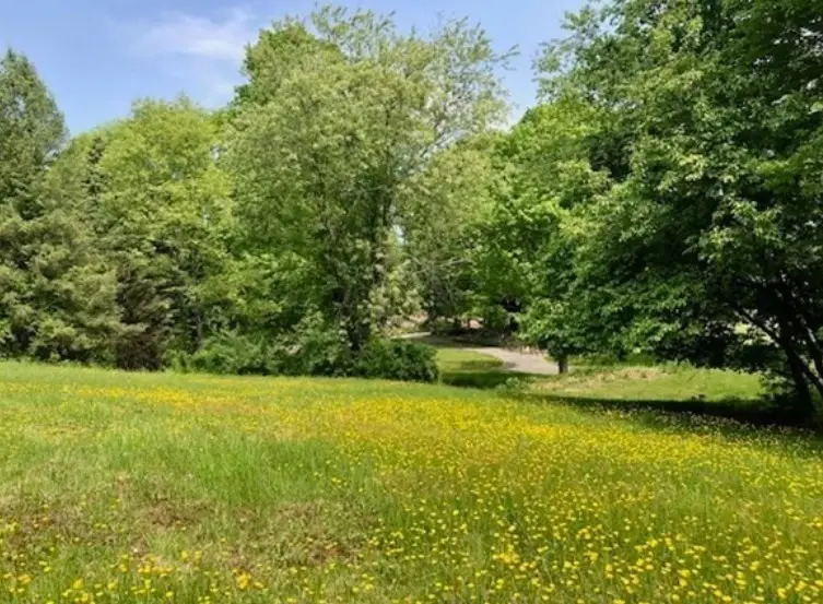 60 Belknap St, Westborough, MA 01581 - Image #3