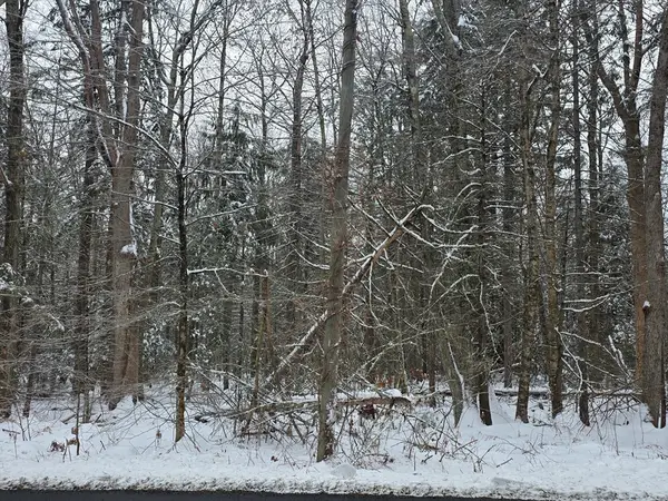 1154 Colebrook River Rd, Tolland, MA 01034