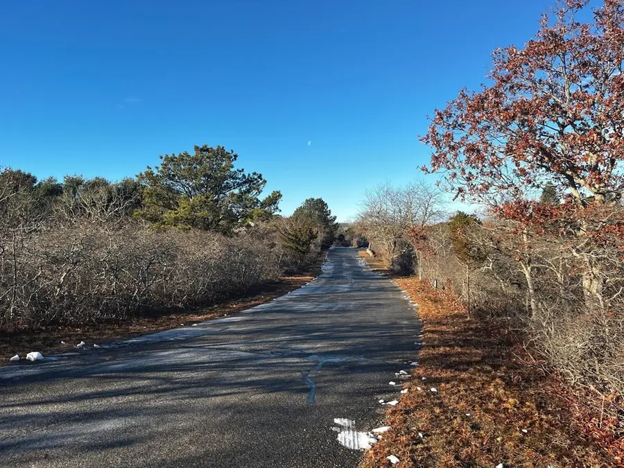 25 Coffins Field Rd, Edgartown, MA 02539 - Image #2