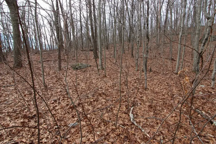 47 Southwick Rd, Sutton, MA 01590 - Image #3