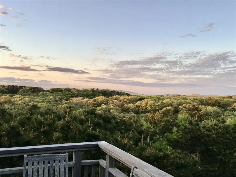 9 Thistlemore, Provincetown, MA 02657 - #2