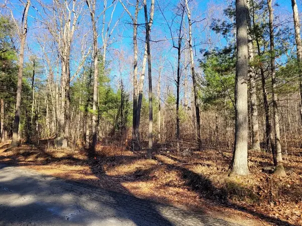 28 Devils Lane (lot 3), Brimfield, MA 01010