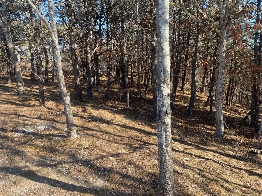 2 Resolution Rd, Truro, MA 02666 - Image #3