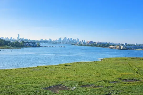 133 Commander Shea Blvd #709, Quincy, MA 02171