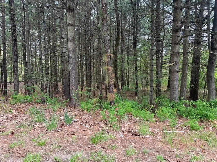 62-91 Lawrence Street, Palmer, MA 01069 - #3