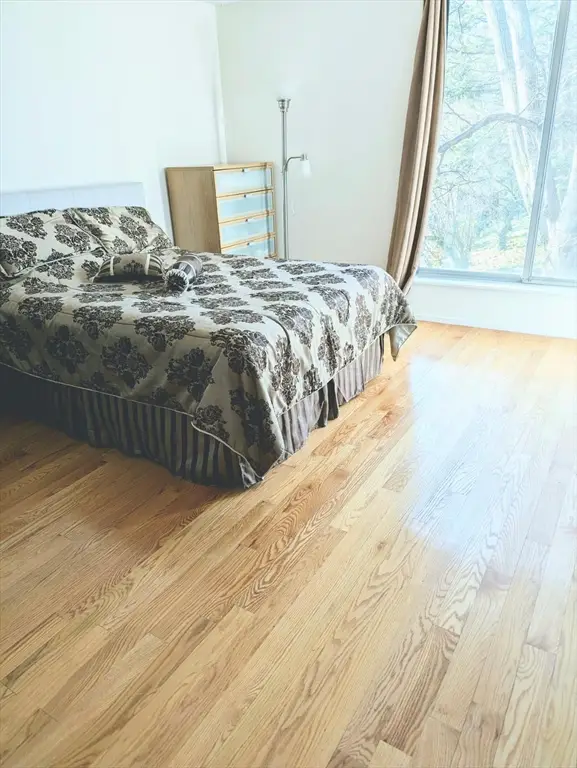 99 Pond Ave #409, Brookline, MA 02445 - Image #1