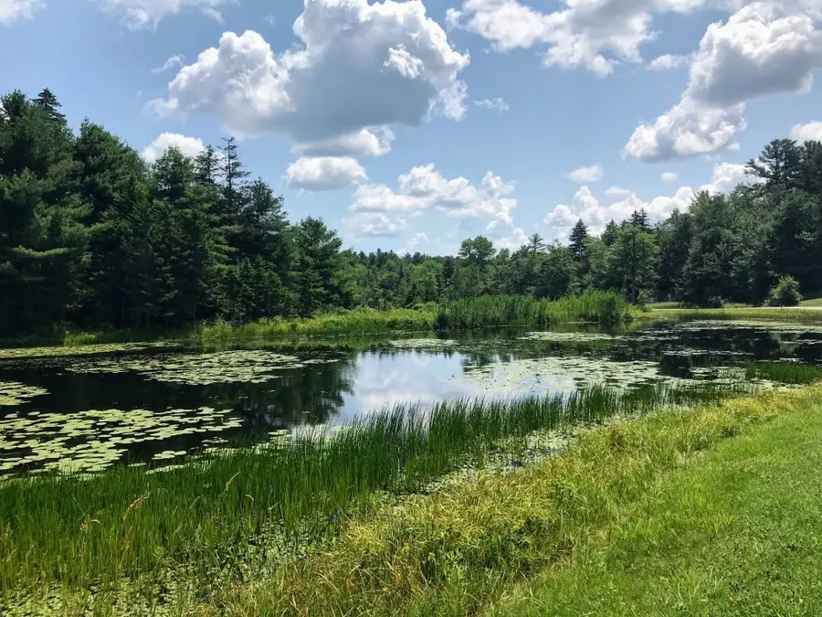 0 Gentian Hollow Rd, Becket, MA 01223 - #3