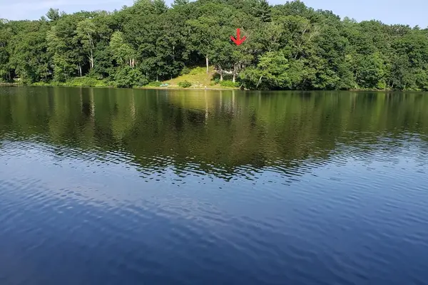 20 Litchfield Ave, Norfolk, MA 02056