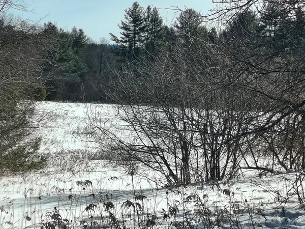 00 Capen/ Clark Road, Worthington, MA 01098