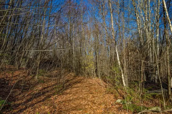 0 Goose Pond Road, Tyringham, MA 01264
