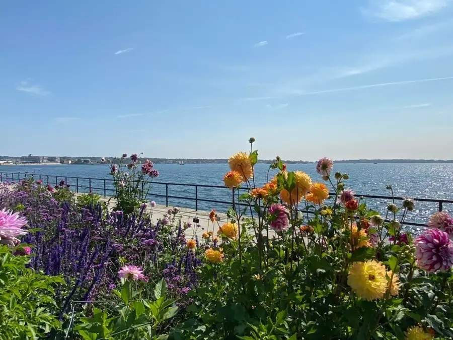 33 Maplewood Avenue #310, Gloucester, MA 01930 - #3