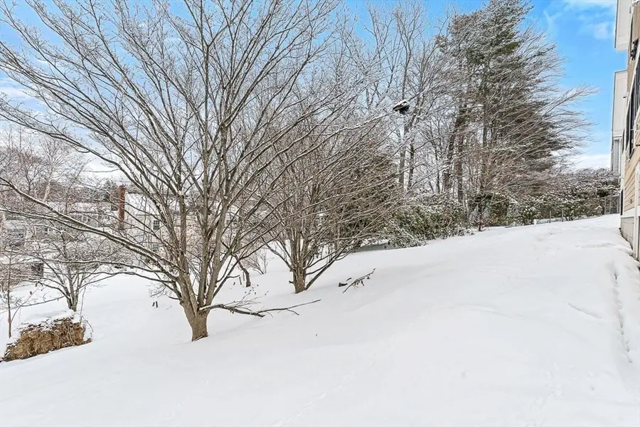 9 Albamont Road, Winchester, MA 01890 - #3