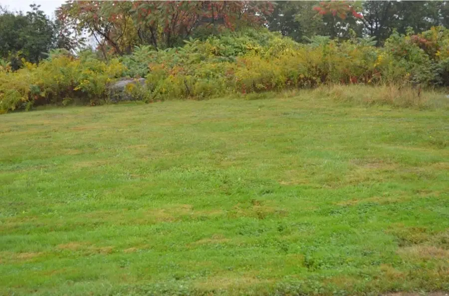 75 Potter Hill Rd, Grafton, MA 01519 - #2