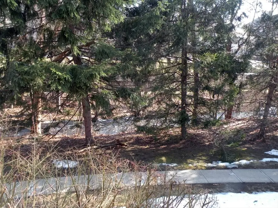 346 Neponset Street #F, Canton, MA 02021 - #2