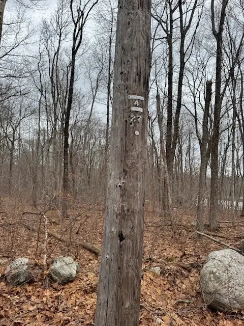 Lot 5 Gould Road, Charlton, MA 01507 - #3