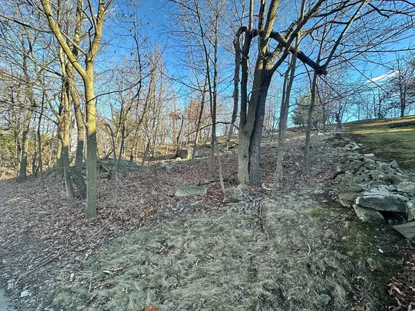 0 Vfw Parkway, Boston, MA 02132