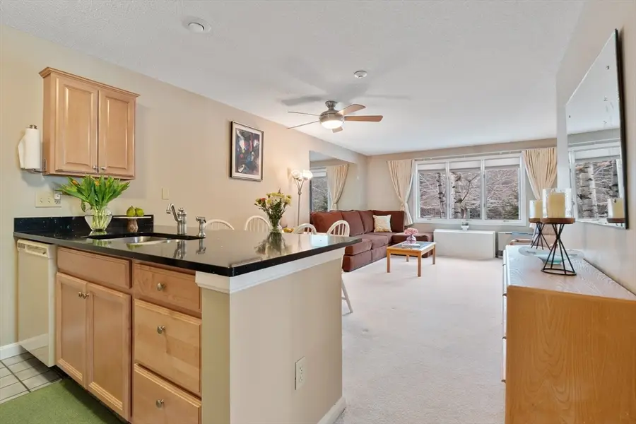 10 Lakeside W Dr #53, North Woodstock, NH 03262 - #3